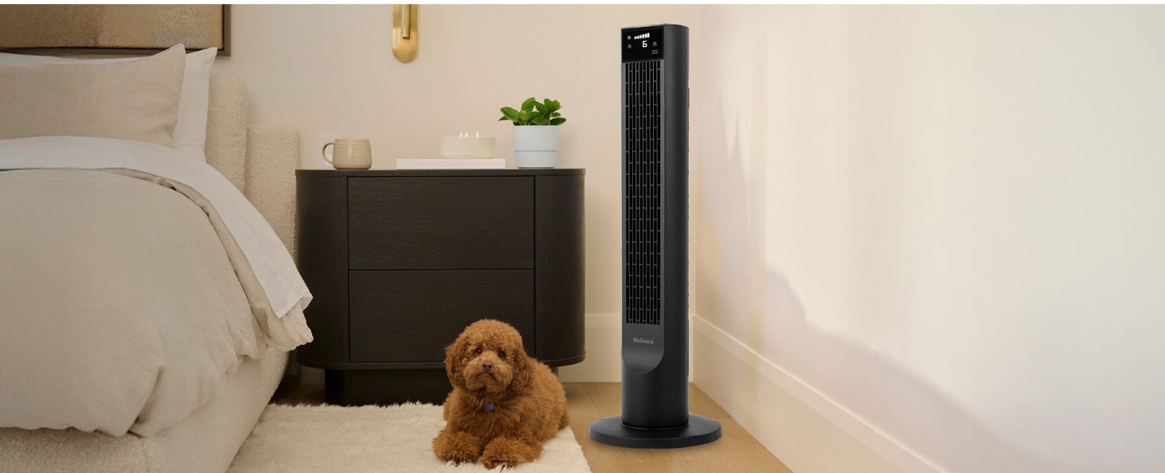 Tower Fans